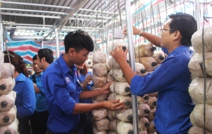 Thanh niên TP Tuy Hòa tham quan học tập mô hình trồng nấm bào ngư của anh Lê Thành Duân ở phường Phú Đông.