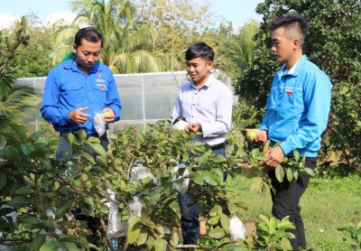 Đồng hành cùng thanh niên khởi nghiệp, lập nghiệp