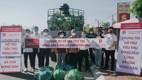 Lực lượng đoàn viên thanh niên Agribank Phú Yên hỗ trợ thu mua rau củ quả, tiêu thụ giúp nông dân.
