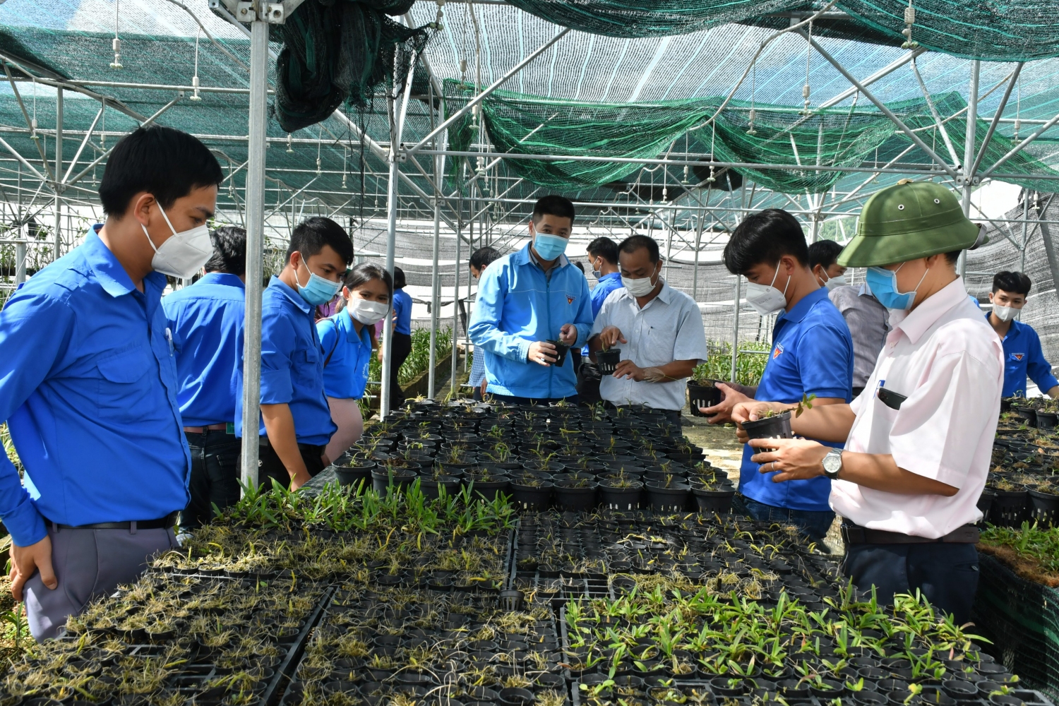 ĐVTN tham quan thực tế mô hình trồng hoa lan công nghệ cao tại Trung tâm Nghiên cứu và Phát triển nông nghiệp công nghệ cao Phú Yên.