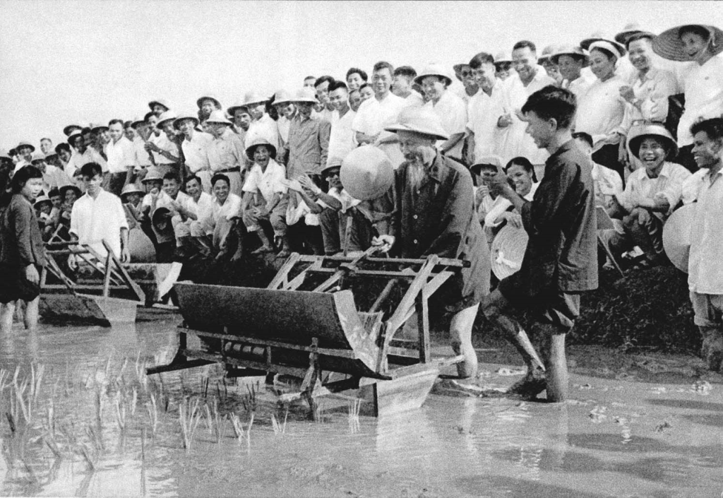 Chủ tịch Hồ Chí Minh dùng thử máy cấy lúa cải tiến tại Trại thí nghiệm trồng lúa Sở Nông lâm Hà Nội (năm 1960). Ảnh: Tư liệu