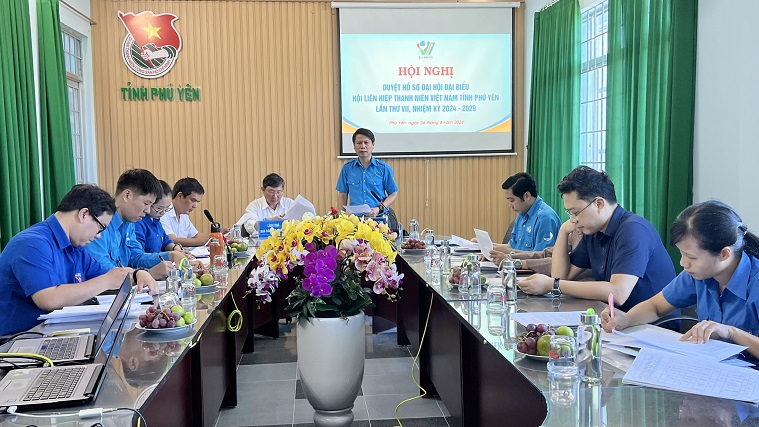 Bí thư Tỉnh đoàn Lương Minh Tùng báo cáo công tác chuẩn bị Đại hội đại biểu Hội LHTN tỉnh lần thứ VII cho Bí thư Trung ương Đoàn và tổ công tác duyệt đại hội cấp tỉnh của Trung ương Hội LHTN.